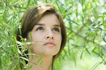 ��ͨ�齫����װ������Ƶ�����������������в������� ά��һ���о�...