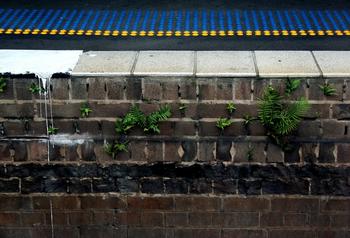 �����˿��ƶľ���Ƶ��ý��:���ϸĸ﷽������ȷ �����족���ڱ���...